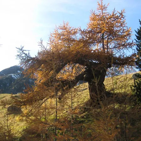 Appartement Chesa Sper L'ovel Brail *