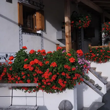 Apartment Chesa Sper L'ovel Brail