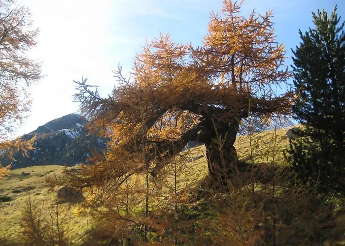 Daire Chesa Sper L'ovel Brail *