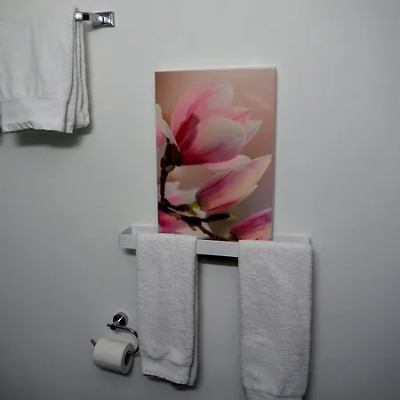 Apartman Chesa Sper L'ovel Brail